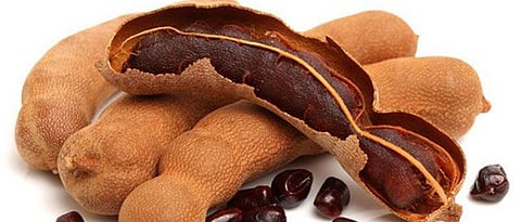 Industry opportunities through Tamarind processing 