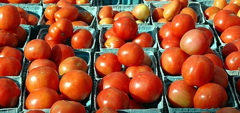 Tomato Rate 