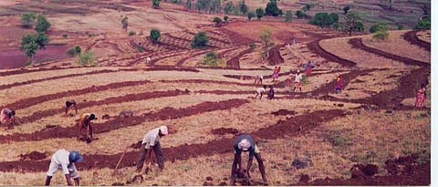 watershed development work 
