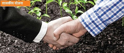 Contract farming