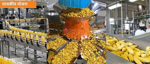 The use of information technology will be important in the agro-processing industry