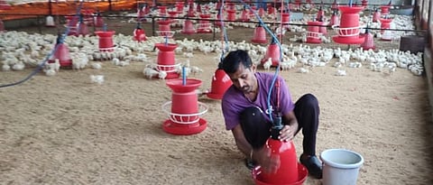 Deepak Khairnar feeding the birds 