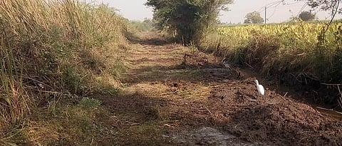 Panand road  