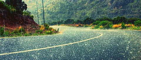Rainfall forecast