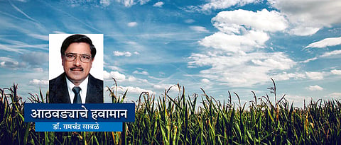 काही भागात पावसाच्या उघडिपीची शक्यता 