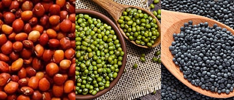 There is increase in market value of pulses? 