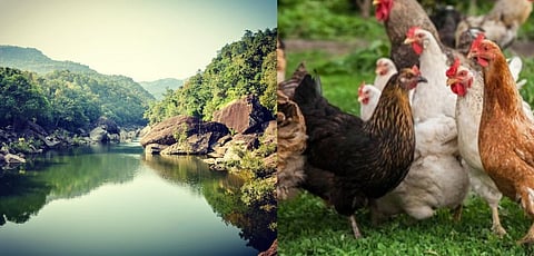 satpuda kombdi 