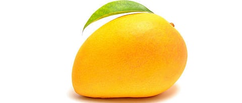 mango 