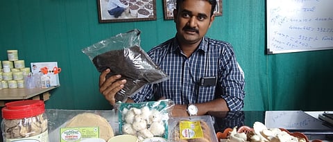 रामेश्वर शेवाळे यांचा धिंगरी अळिंबी उद्योग 
