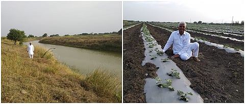 हरिकिशन मालू यांनी पाणी संवर्धनाचे मार्ग अवलंबून दुष्काळात कलिंगड फुलवले.
