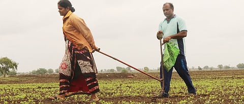 पावसामुळे वऱ्हाडात पेरण्यांनी घेतला वेग