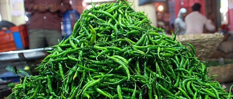 Green Chilli