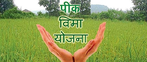 Benefit of Fruit Crop Insurance