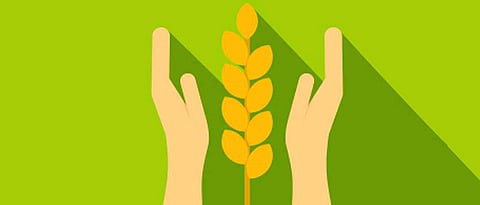 Agrim crop insurance