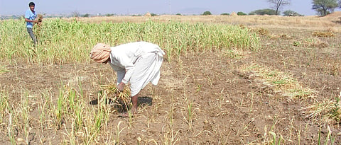 Irrigation Project rehabilitation