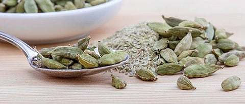 health benefits of cardamom