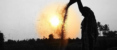‘झिरो बजेट’ शेती तंत्राचा ‘केव्हीके’ करणार प्रसार
