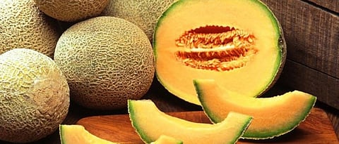 muskmelon