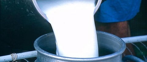  Gokul Milk