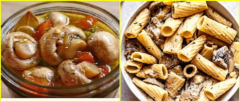 value added products of mushroom