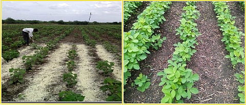 Use of soil amendments for land improvement