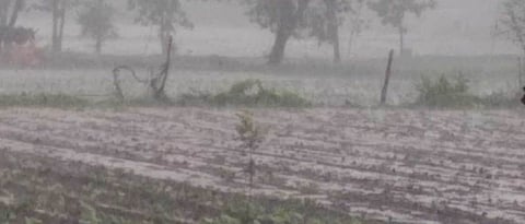 Rain Update