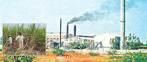 Sugarcane FRP