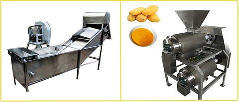 fruit washer and mango pulper