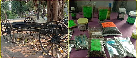 Developed bullock carts and by-products made from forest products