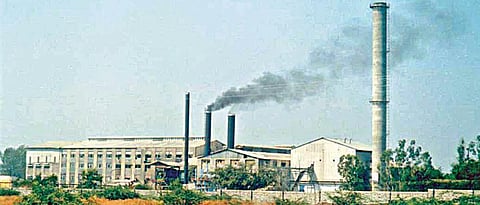  Sugar Factory 