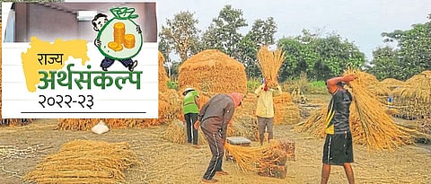 Provisions for horticulture, insurance, research, irrigation