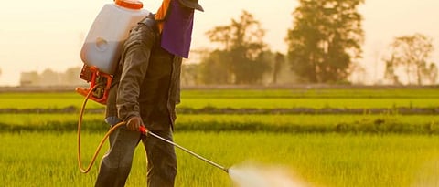  Glyphosate