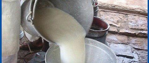 Jalgaon District Milk Producers Union