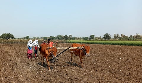 Kharif Season