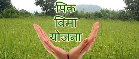 Crop Insurance