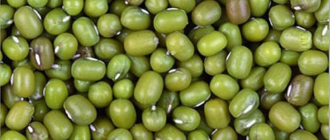 Moong Market