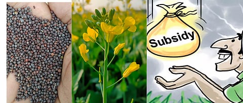Mustard Subsidy