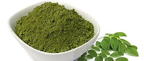 Drumstick powder