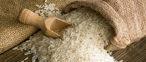 rice
