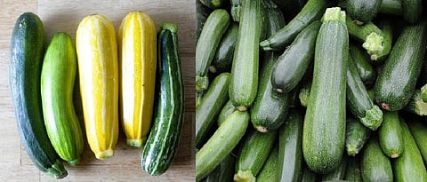 Healthy Zucchini