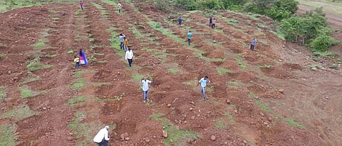 Forestry campaign on waste land through the organization.