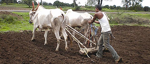 Relief For Farmers