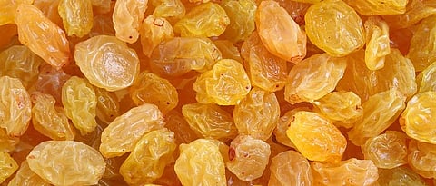 Raisins 