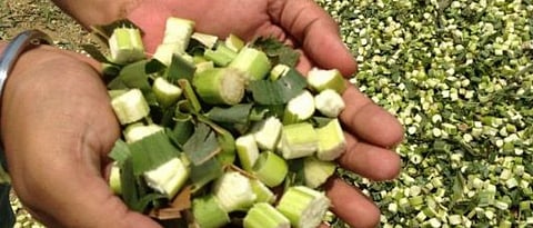 How to make silage?