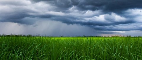 Weather Forecast