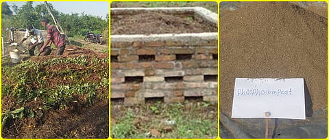 शाश्वत उत्पादनासाठी सेंद्रिय खतांचे व्यवस्थापन