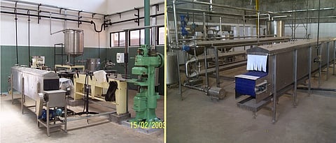 machinery in canning line
