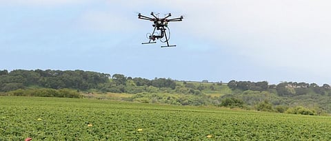 Dron 