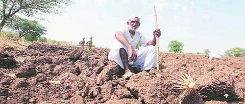 Farmer Death