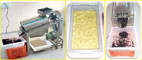 Custard apple seed separator